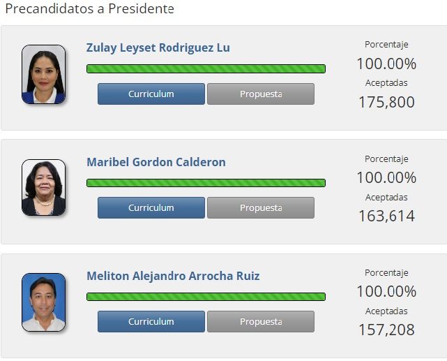 Dos de los tres candidatos pertenecen a partidos políticos, mientras que una perteneció a uno que se extinguió. Imagen: Tribunal Electoral