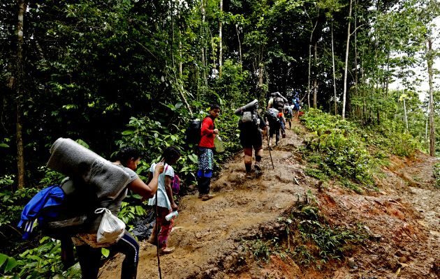 Un total de 248,901 migrantes irregulares han cruzado el Darién en 2023. Foto: EFE