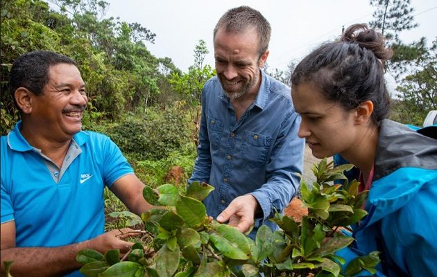 La ex pasante de STRI, Daniela Cala, y el botánico de STRI, Jorge Aranda, fueron coautores de un artículo, junto con el científico de STRI, Martijn Slot. Foto: Cortesía/ Jorge Alemán