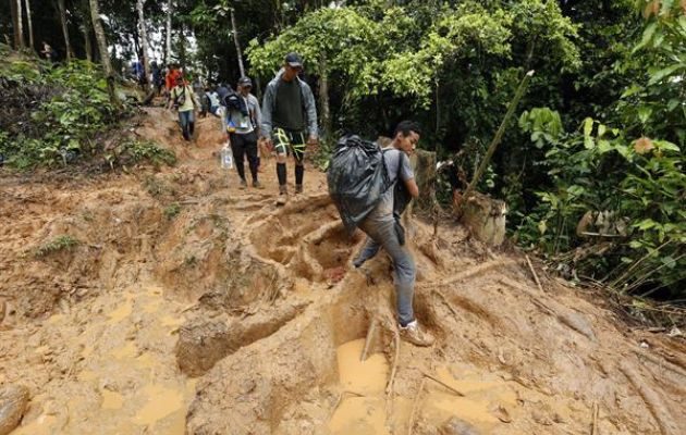 Migrantes suben una montaña con la intención de llegar a Panamá por el Tapón del Darién. Foto: EFE