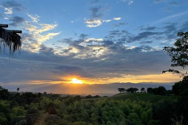 Paisaje del Eje Cafetero en Pereira (Colombia). 