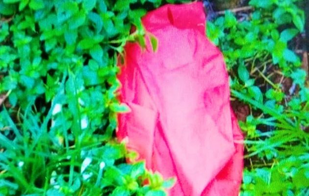 El llanto de la bebé alertó a los residentes. Foto: Cortesía/PN