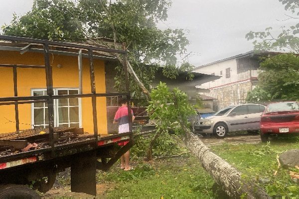 Una residencia afectada por la caída de un árbol. Foto. Eric Montenegro