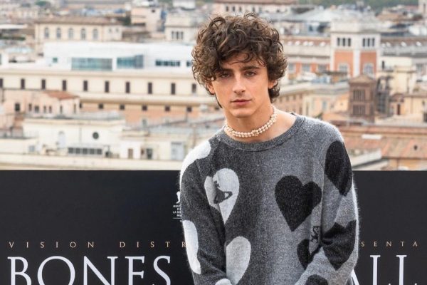 Timothée Chalamet. Foto: Instagram