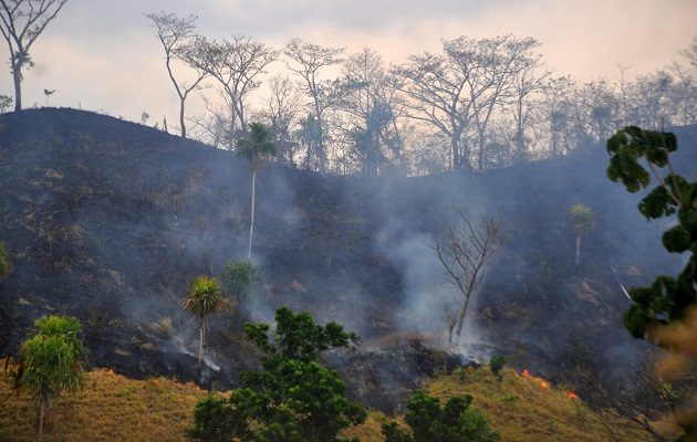 La deforestación en las zonas cercanas a Chucantí no se detiene. Foto: Cortesía Adriano Duff/Zona Verde