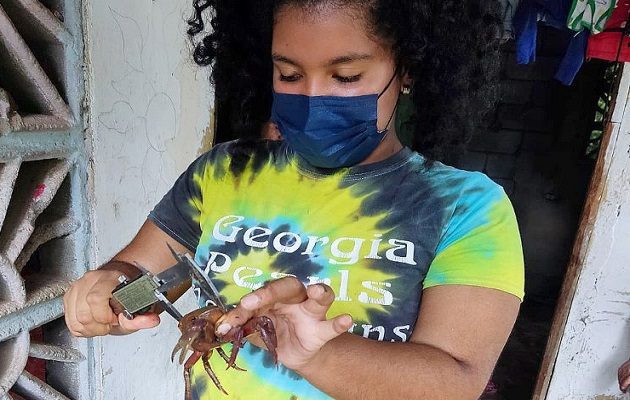 La estudiante Alicia De León durante el desarrollo del proyecto. Foto: Cortesía