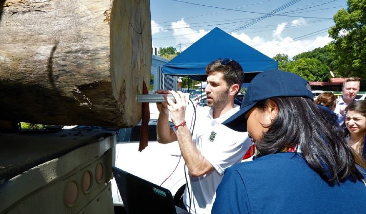 La trazabilidad de la Madera y el aprovechamiento legal de los bosque marcan un nuevo hito en la legislación panameña. Cortesía