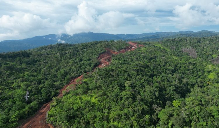 En la naturaleza existe un equilibrio que cuando se rompe puede desencadenar en problemas para  el hombre y los demás organismos.