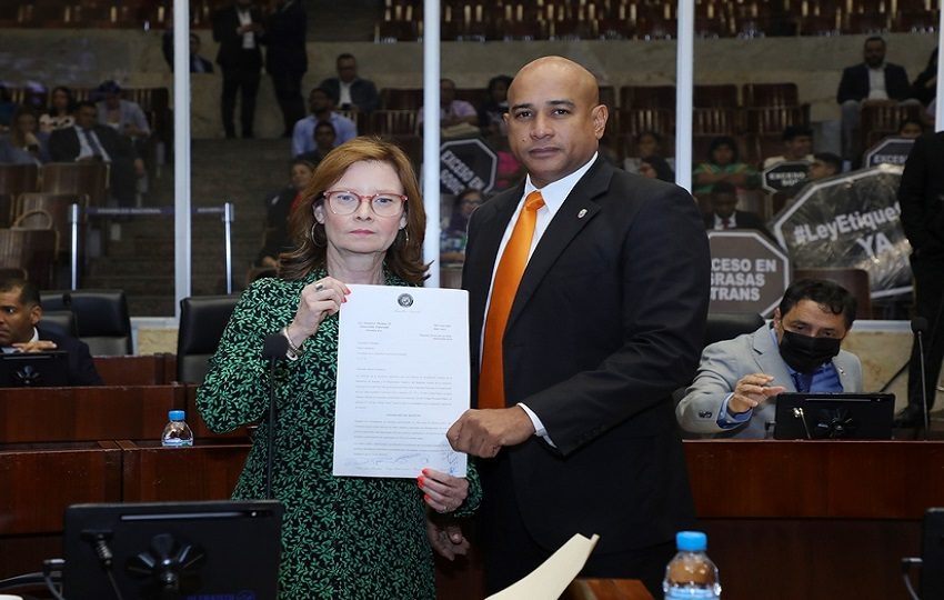 Violencia Intrafamiliar y Sexual, Foco de Atención en el Debate Legislativo.
