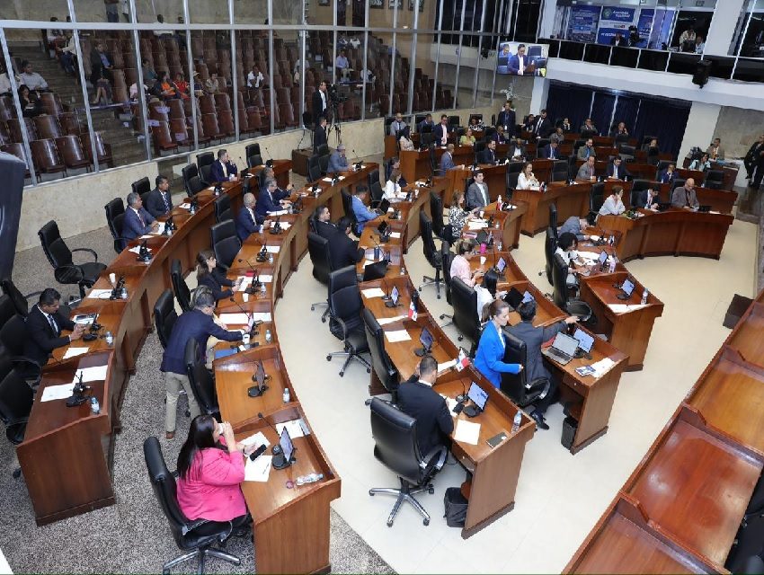 Pleno de la Asamblea Nacional de Diputados. Foto: Cortesía