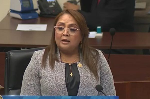 Dana Castañeda es la proponente del proyecto.