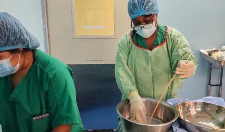 La empresa LeMaitre incursionó en la fabricación y preparación de tejidos de injertos biológicos. Foto: CSS