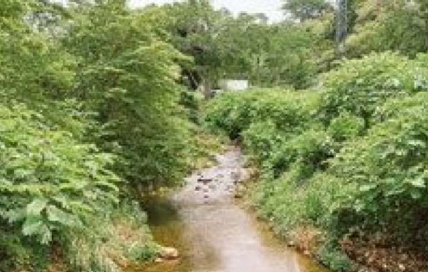 Víctor Saldaña de 65 años, desaparecido desde el viernes en el río Rincón en Dolega, provincia de Chiriquí. Foto. Sinaproc