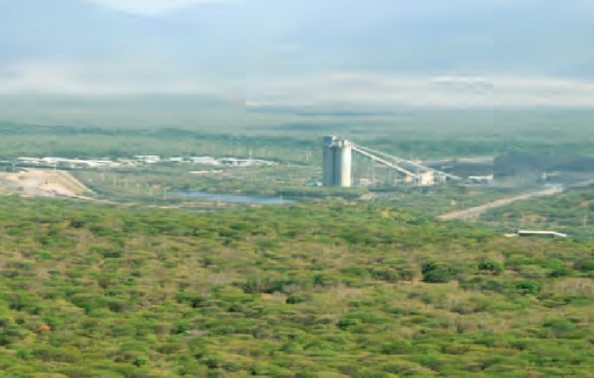 CERREJÓN LA GUAJIRA 2009: la mina Cerrejón  en la Guajira regenerada años después producto de la minería bien hecha.