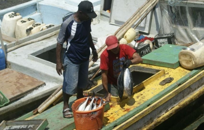 Esto causa que los pescadores paguen altos costos por combustibles.
