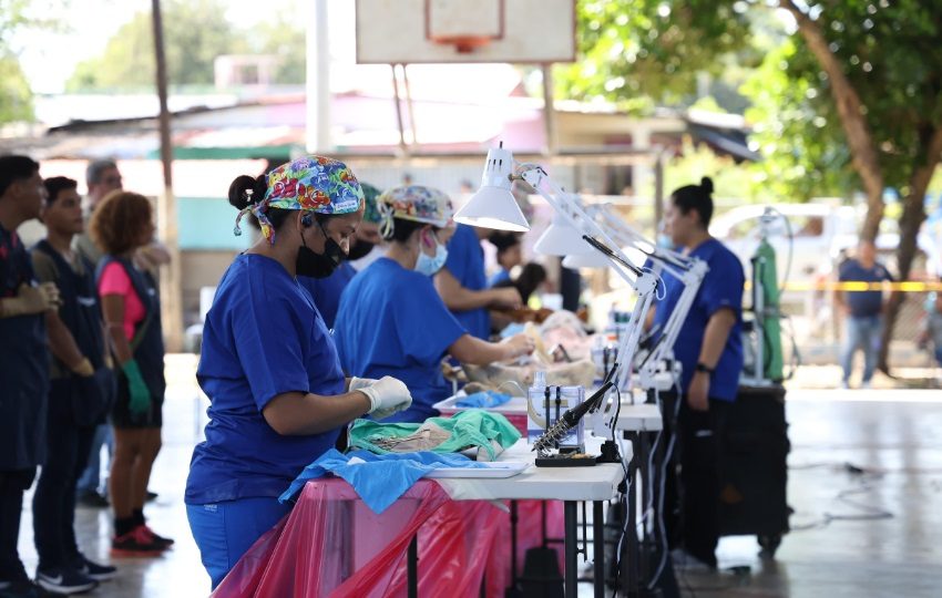 Cuarta jornada de esterilización en Chitré. Foto: Cortesía