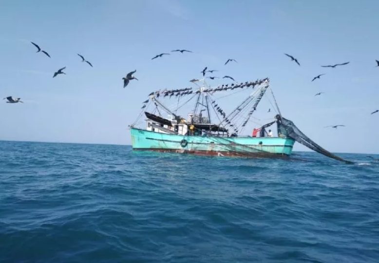 Buscan eliminar la pesca ilegal. Foto: Archivo.