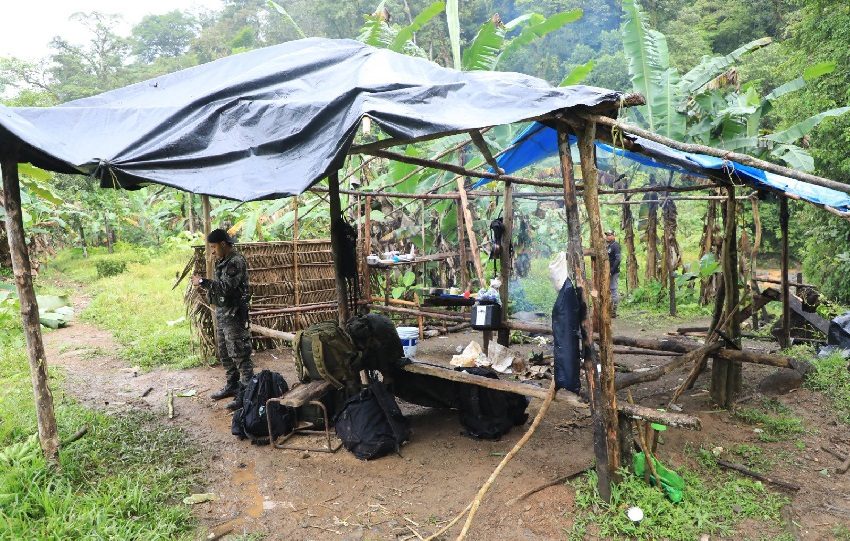 Durante la Operación Caribe III, fueron detenidas cinco personas entre ellas un colombiano en el Parque Nacional Chagres. Foto. MiAmbiente
