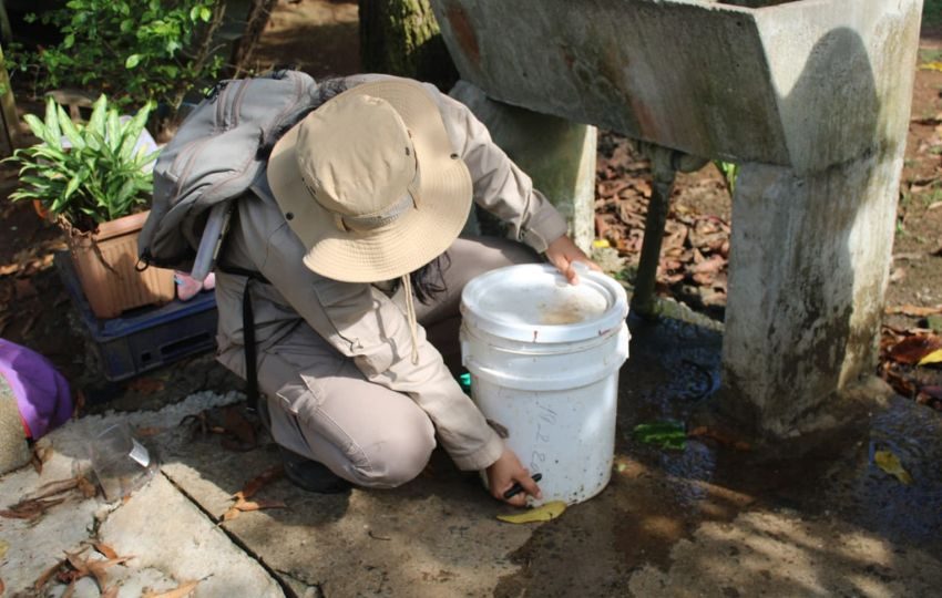 Es importante eliminar los criaderos de mosquitos. Foto: Cortesía