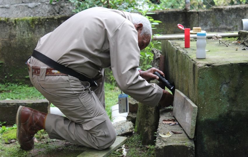 Se recomienda eliminar los criaderos de mosquitos. Foto: Cortesía