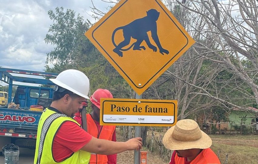 Instalación de letreros. Cortesía