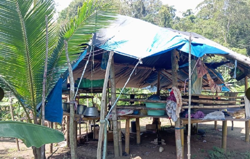 Las autoridades destacan además que con estas actividades también se afecta las comunidades cercanas. Foto. PGN