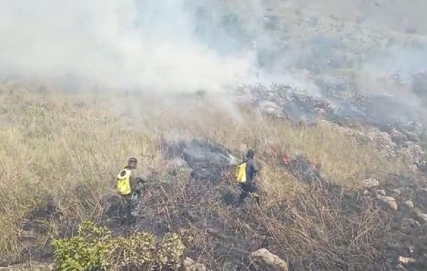 Hasta septiembre de 2024, se registraron en el país 4,765 incendios forestales. Foto: Archivo