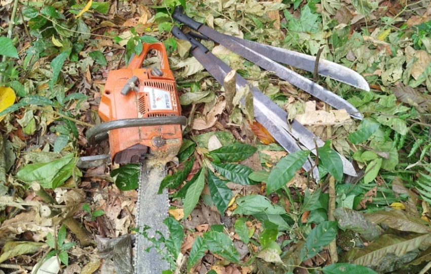 Se incautaron una motosierra y cuatro machetes. Foto: Cortesía / MiAmbiente