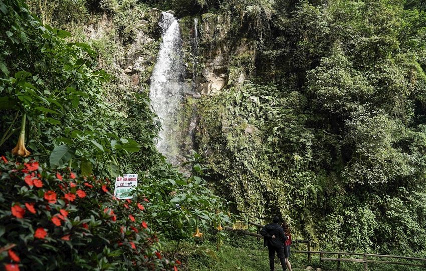 En Boquete se pueden recorrer rutas especializadas para observar aves, entre las cuales destaca el llamativo ‘quetzal’. Foto:  Aleksandar Popovski/Unsplash