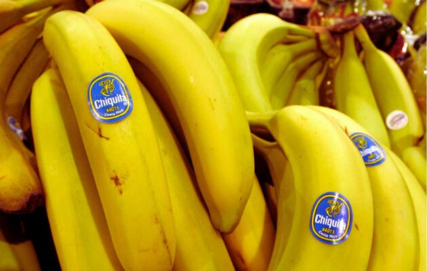 Producción de banano. Foto: Archivo