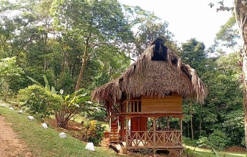 El próximo rumbo para una aventura en medio de la naturaleza es la comunidad de la Arenilla, en el distrito de Capira. Foto. Eric Montenegro