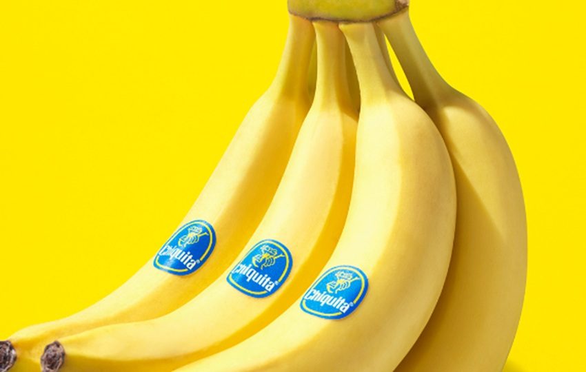 Las pérdidas aumentan y los mercados internacionales ya están reemplazando las exportaciones panameñas. Foto. Archivo