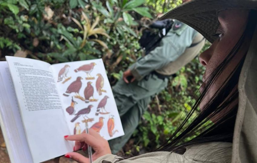 Más de 3,500 personas participaron a nivel nacional. Foto: Cortesía