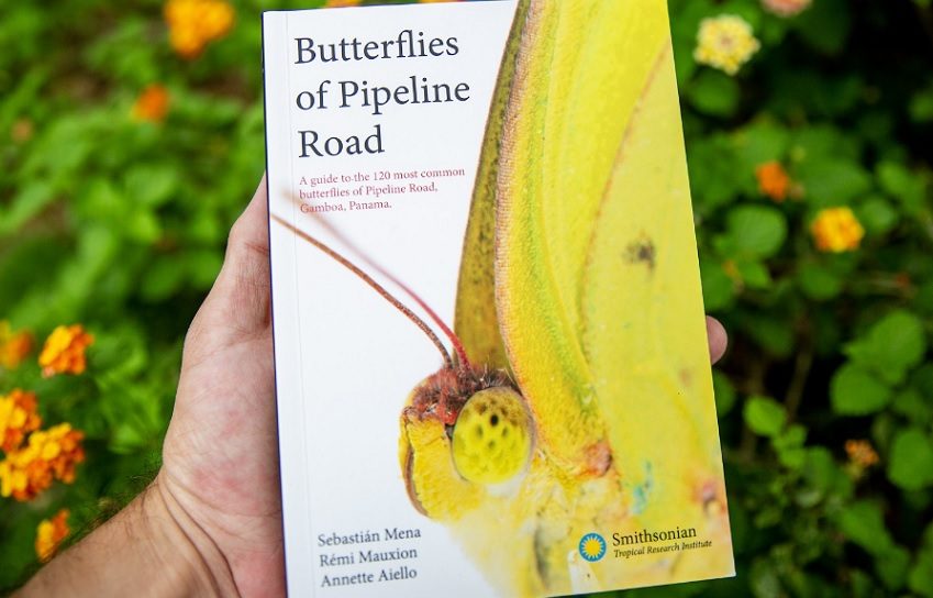 Libro Butterflies of Pipeline Road. Crédito: Cortesía/Jorge Alemán