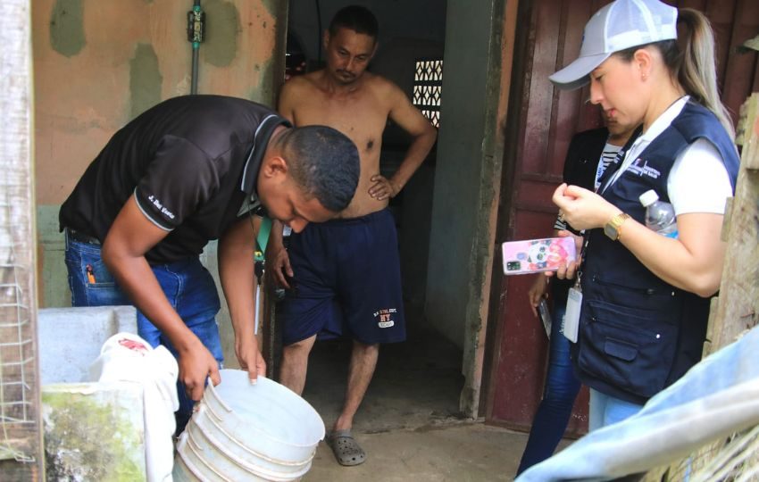 Se recomienda evitar los criaderos de mosquitos. Foto: Cortesía