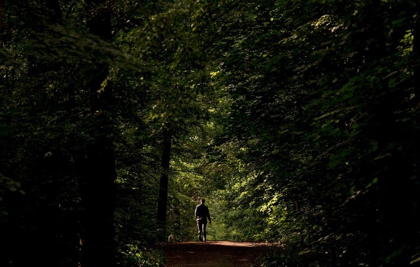 Los paisajes forestales cercanos a la naturaleza pueden contribuir de forma medible a la reducción del estrés. Foto: EFE