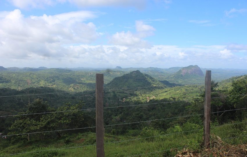 Uno de los majores paisajes para relajarse y escapar del ruido de la ciudad. Foto. Eric Montenegro