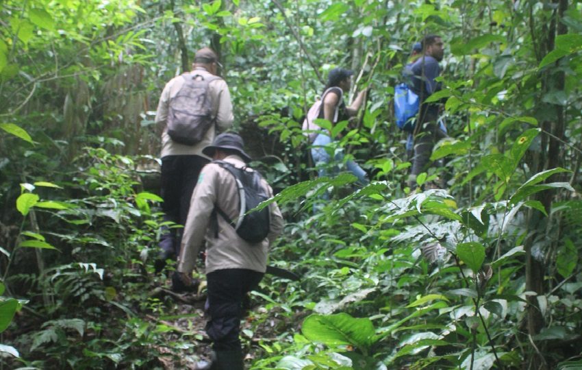Mejorarán algunos de los senderos para que el paseo sea más agradable. Foto. Eric Montenegro