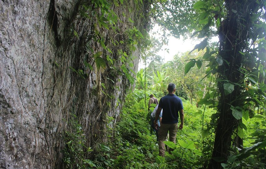 El sendero “Trinidad” de 1.5 kilómetros tendrá un mayor grado de dificultad aun con las mejoras que se tienen planeadas. Foto. Eric Montenegro