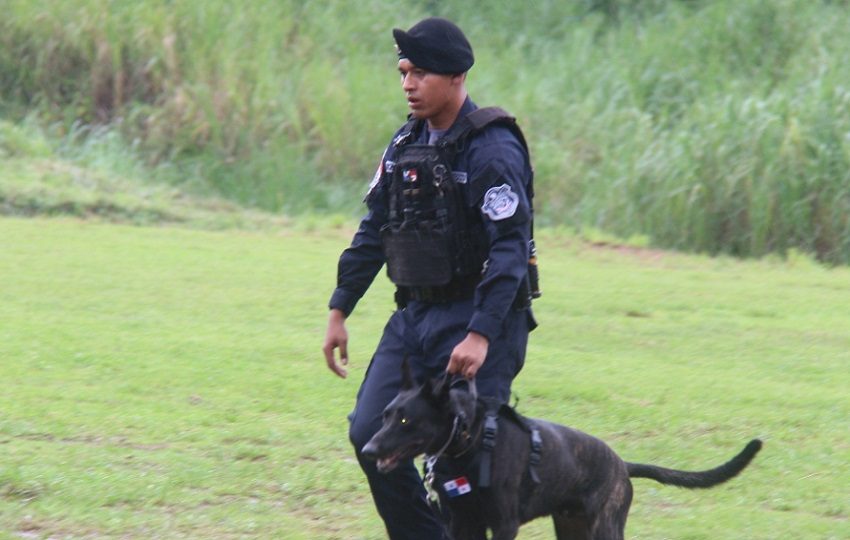También adquirieron conocimientos en primeros auxilios para caninos y compañeros humano. Foto: Diómedes Sánchez