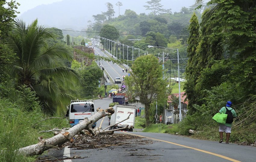 Apertura de vías podría demorar al menos cuatro días. Foto: EFE