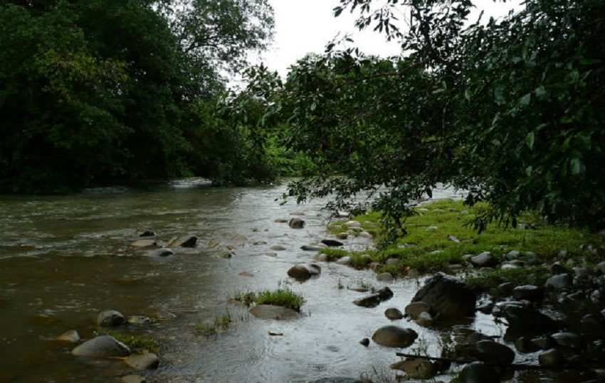 Entre los trabajos sugeridos están el control de los olores, lixiviados y construcción de cerca perimetral o barrera natural, y la eliminación de basura en las inmediaciones de la quebrada El Colmón. Foto. Archivo