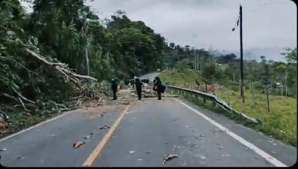 Para poder despejar las calles han tenido que quitar árboles, ramas, troncos y hasta postes del tendido eléctrico. Foto. Policía Nacional