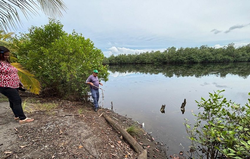 Expertos de MiAmbiente realizaron una serie de evaluaciones sobre la mortandad de peces. Foto. MiAmbiente