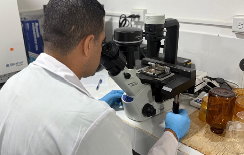 Las autoridades de salud intensifican su labor para garantizar agua segura a la población. Foto. Archivo
