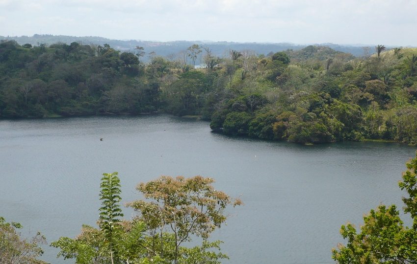 Este lago está situado a unos 26 metros sobre el nivel del mar, en el que pasan los barcos del Atlántico al Pacífico, en unos 33 kilómetros. Foto. Diómedes Sánchez