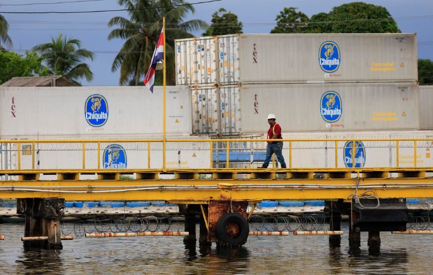 La empresa Chiquita sufrió pérdidas millonarias. Foto: EFE