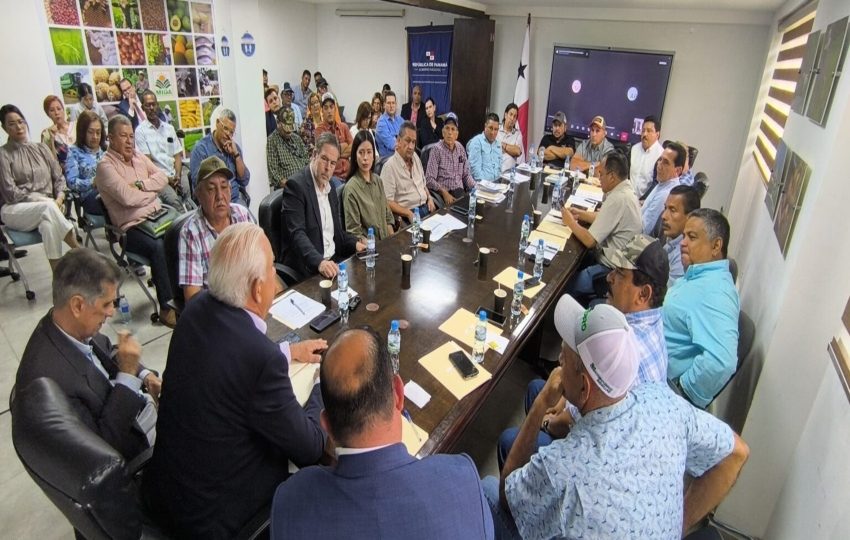 Reunión de la Cadena Agroalimentaria de Arroz. Foto: Cortesía.