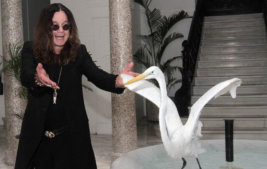 Ozzy Osbourne con una de las garzas del palacio. Foto: X / Ozzy Osbourne