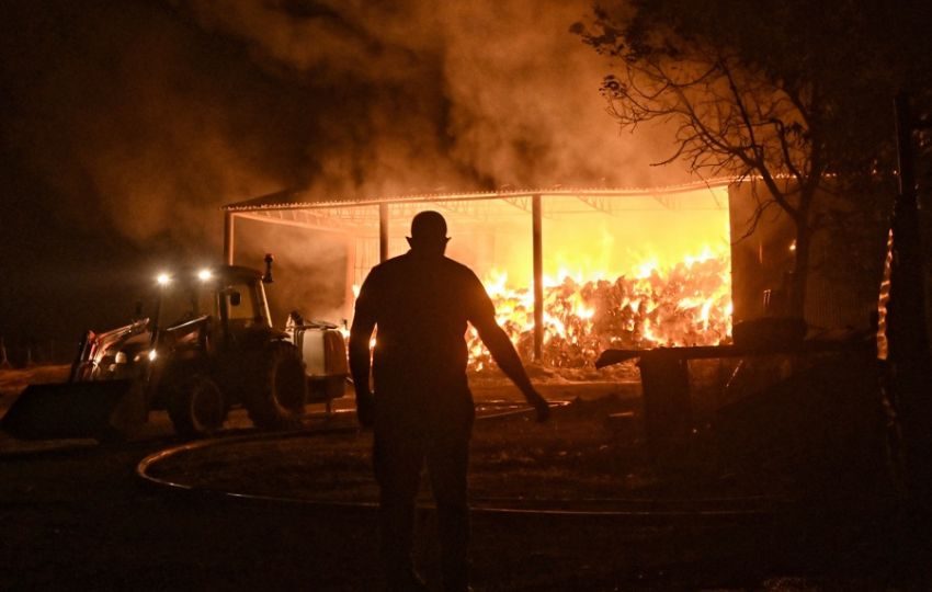 Bomberos y voluntarios combaten un almacén en llamas durante un incendio forestal en la aldea de Feneos, municipio de Corinto, Grecia. Foto: EFE